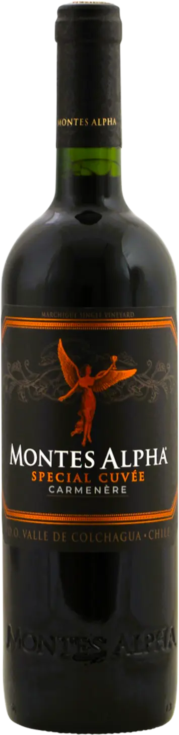 Montes Wings 2021