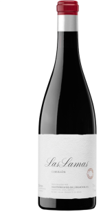 Palacios Bierzo do Organic 'Las Lamas' 2021
