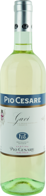 Pio Cesare Gavi di Gavi DOCG 2024