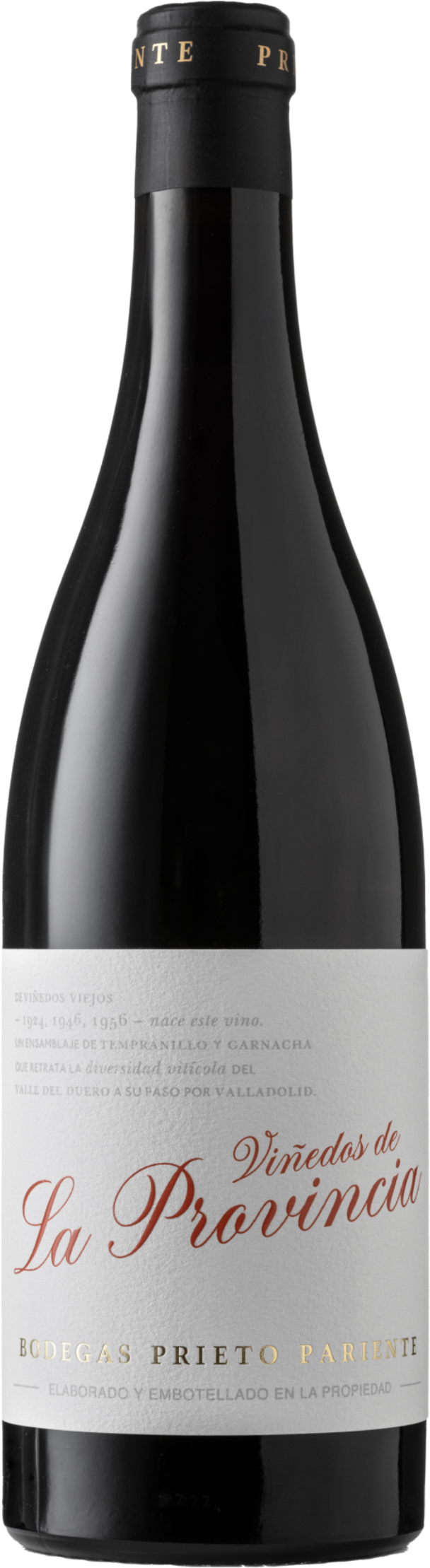 Prieto Pariente La Provincia vdt 2021