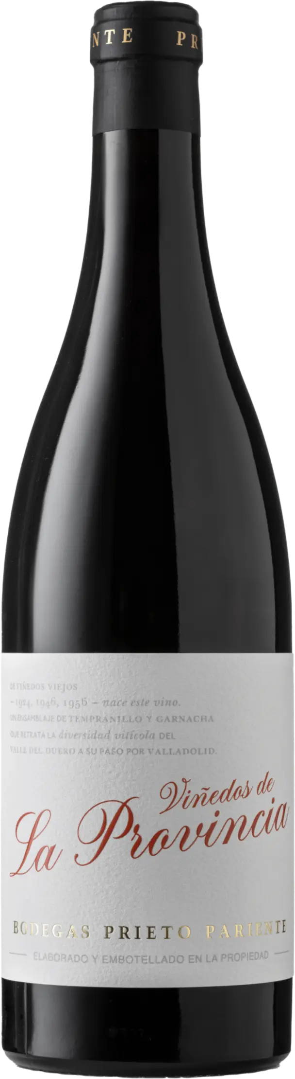 Prieto Pariente La Provincia vdt 2021