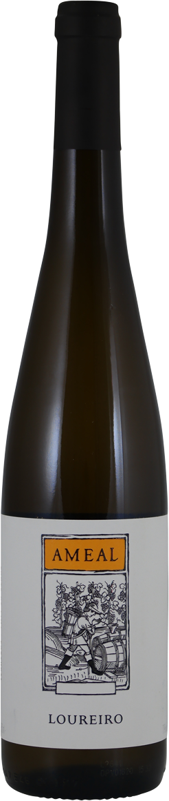 Quinta do Ameal Loureiro 2024