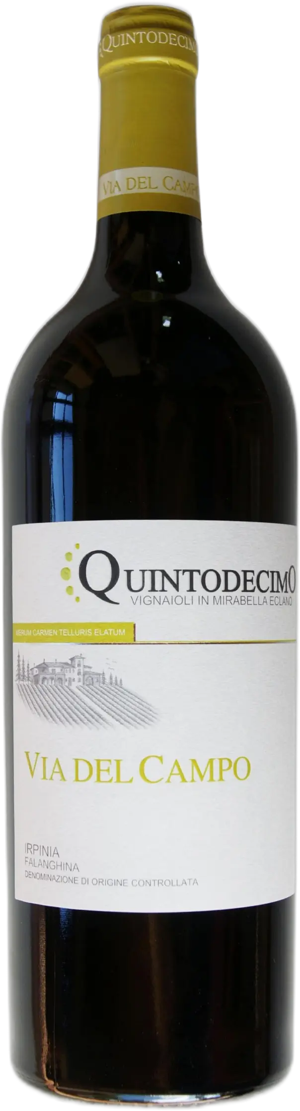 Quintodecimo Irpinia Falanghina doc 'Via del Campo' 2022