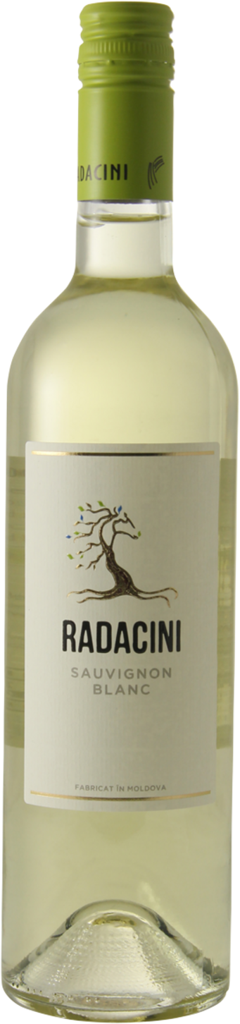 Radacini Sauvignon Blanc 2024