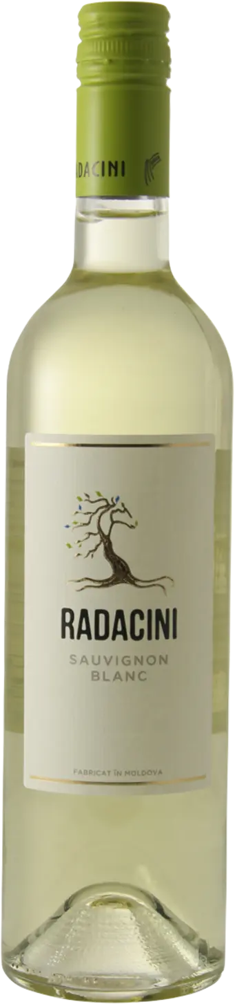 Radacini Sauvignon Blanc 2024