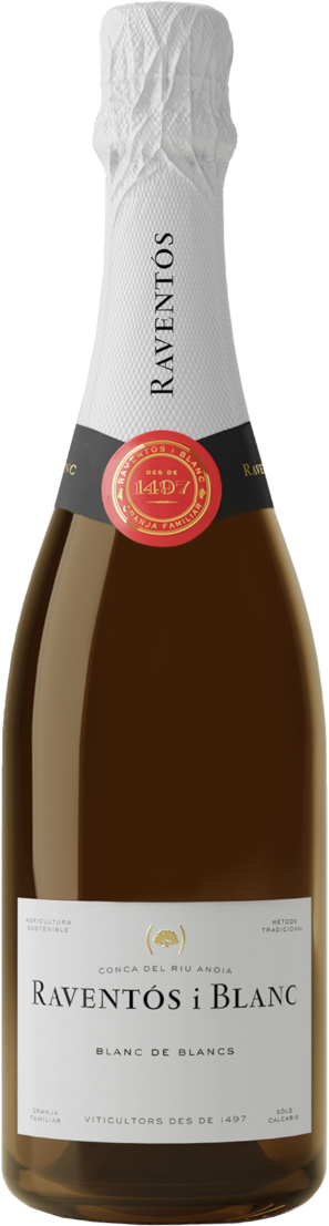 Raventos Blanc de Blancs Extra Brut Organic 2024