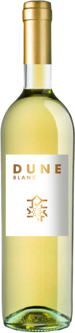 Roslane Guerrouane aog Blanc 'Dune' 2023 (6 flessen)