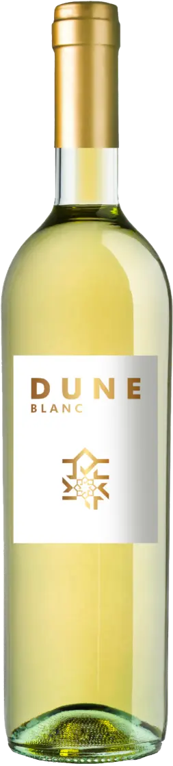 Roslane Guerrouane aog Blanc 'Dune' 2023