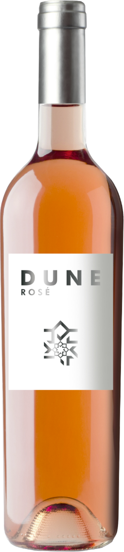 Roslane Guerrouane aog Rose 'Dune' 2023