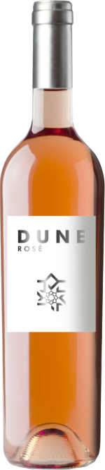 Roslane Guerrouane aog Rose 'Dune' 2023