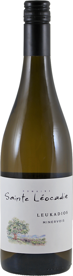 Sainte Léocadie Leukadios blanc 2024