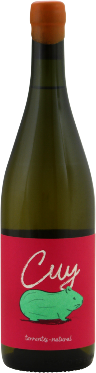 Santa Julia Cuy Torrontés Natural 2024