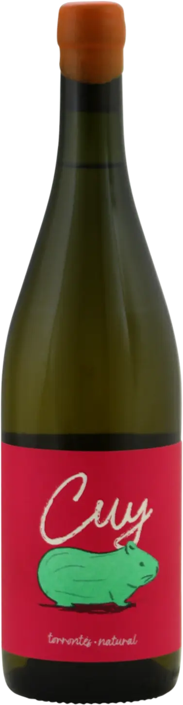 Santa Julia Cuy Torrontés Natural 2024