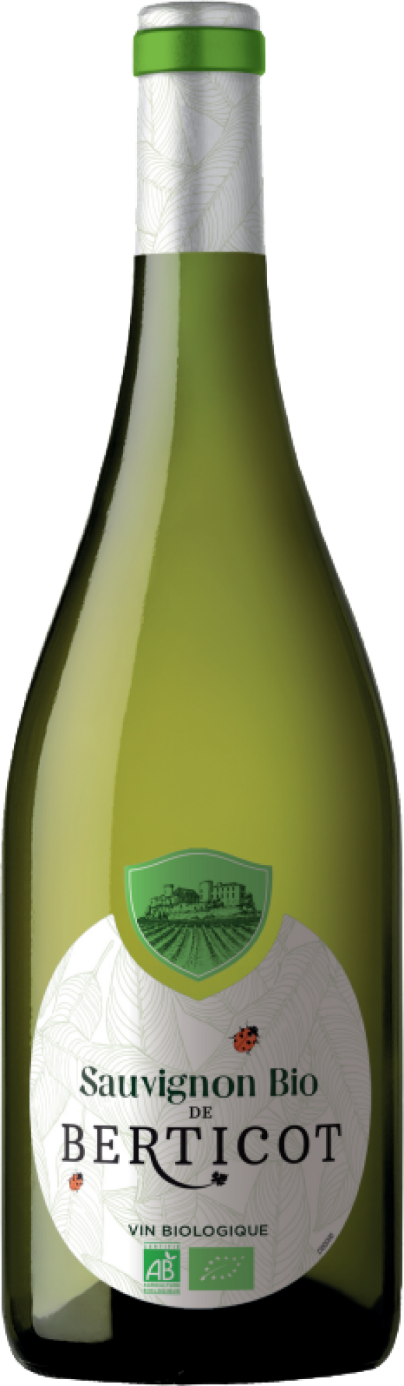 Sauvignon Bio de Berticot 2024