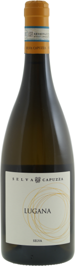 Selva Capuzza Lugana Selva 2019