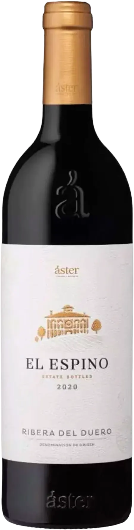 Áster Ribera del Duero 'El Espino' 2020
