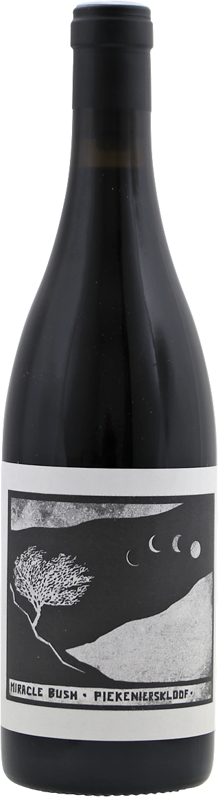 Swartberg Wingerde Miracle Bush red 2019 (6 flessen)