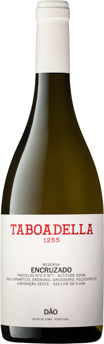 Taboadella Encruzado Reserva Dão doc 'Taboadella 1255' 2024
