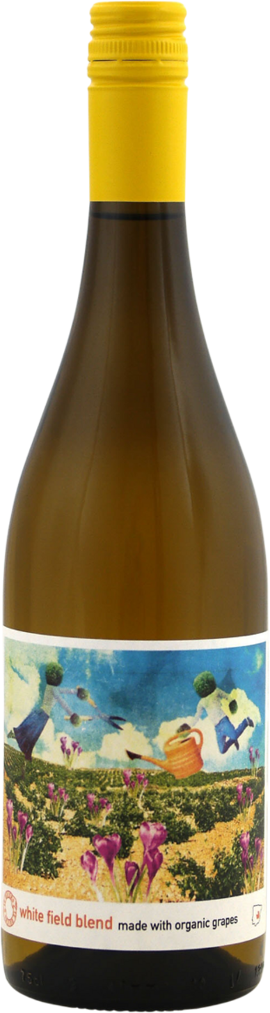 Te Quiero Field Blend white 2025