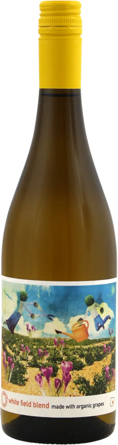 Te Quiero Field Blend white 2025