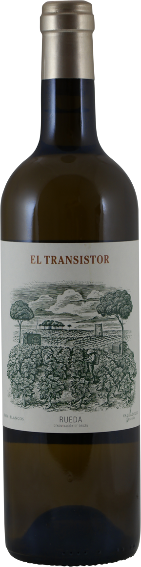 Telmo Rodriguez El Transistor 2024