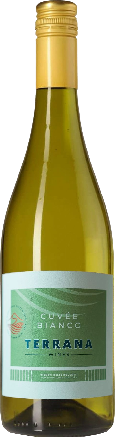 Terrana Wines Vigneti delle Dolomiti Pinot Grigio & Chardonnay 'Cuvée Bianco' 2023