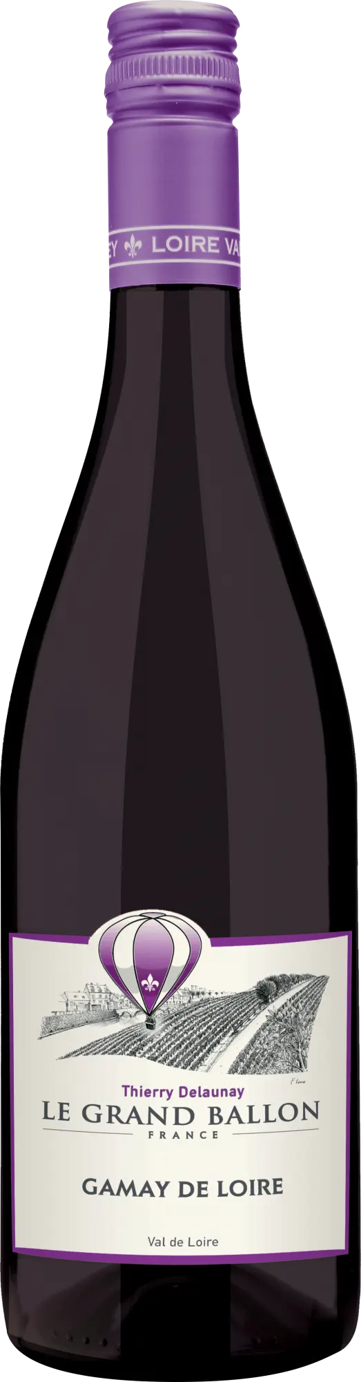 Thierry Delaunay Le Grand Ballon Touraine Gamay 2024