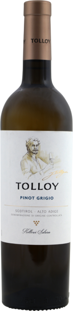 Tolloy Pinot Grigio 2023 (6 flessen)
