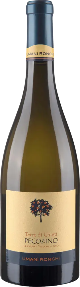 Umani Ronchi Pecorino 2025
