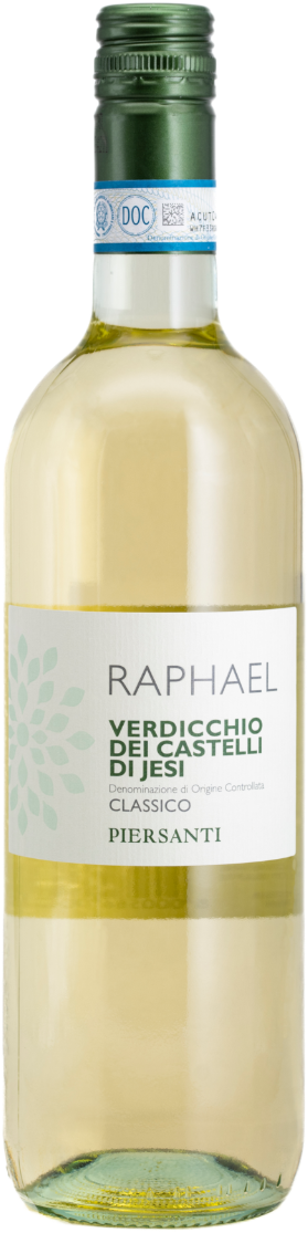 Verdicchio Castelli di Jesi Classico doc 'Raphael' 2023 (6 flessen)