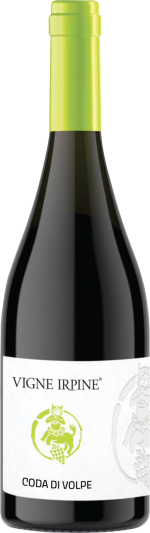Vigne Irpine Irpinia Coda di Volpe 2024