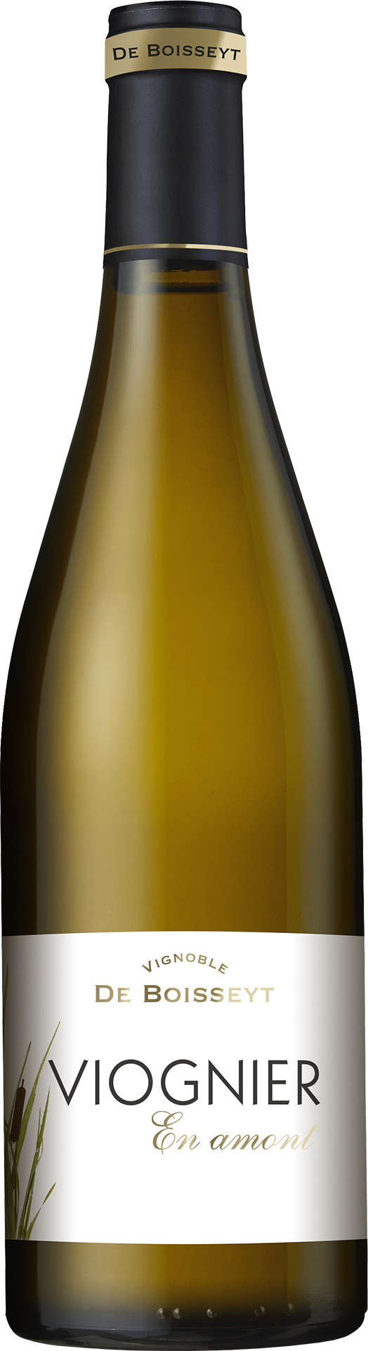 Vignoble De Boisseyt - Viognier En Amont 2022