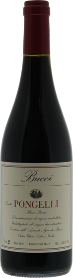Villa Bucci Rosso Piceno Pongelli 2019
