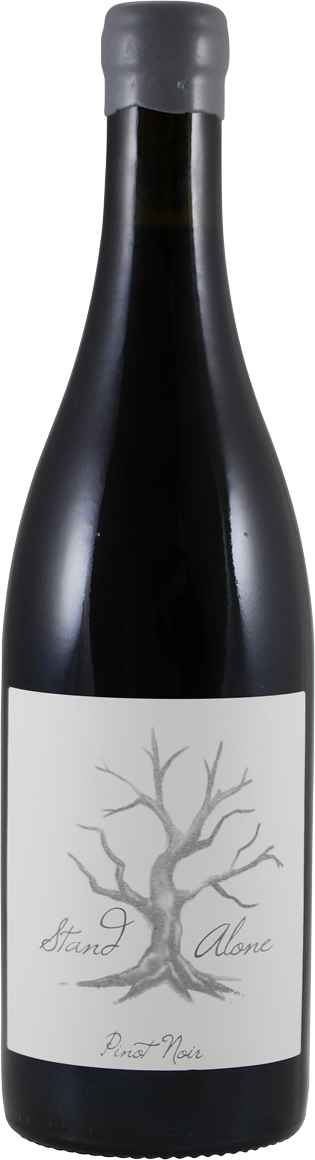 Villiera Punchion Pinot Noir 2022 (6 flessen)