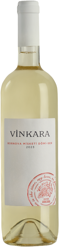 Vinkara Domi-sek 2023