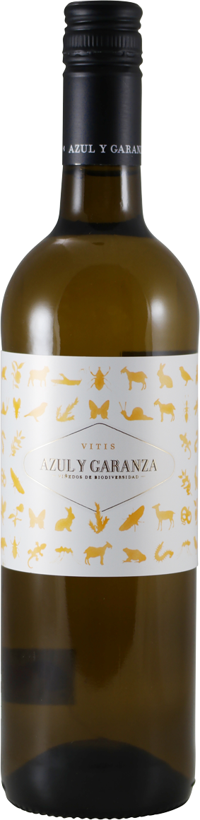 Vitis de Azul y Garanza 2024