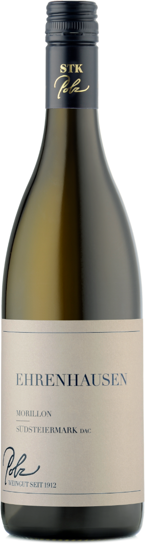Weingut Polz Morillon Südsteiermark dac 'Ehrenhausen' 2022