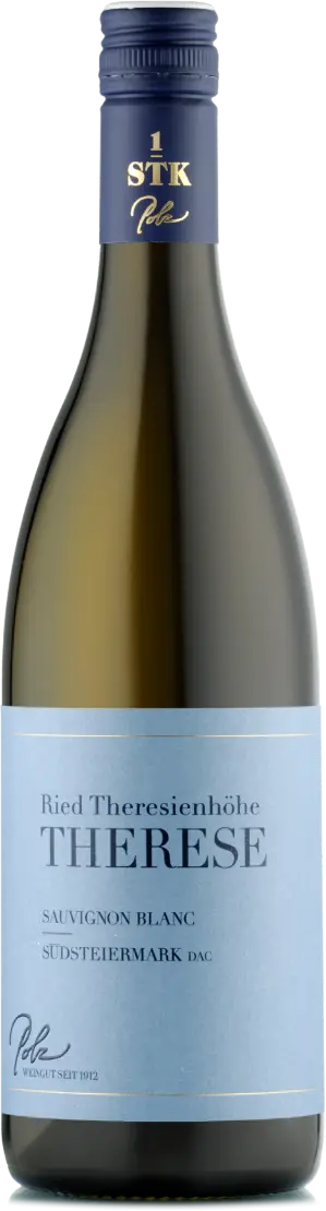 Weingut Polz Sauvignon Blanc dac 'Ried Theresienhöhe Therese' 2022