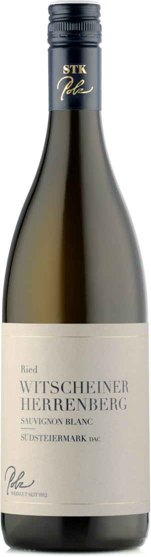 Weingut Polz Sauvignon Blanc dac 'Ried Witscheiner Herrenberg' 2019
