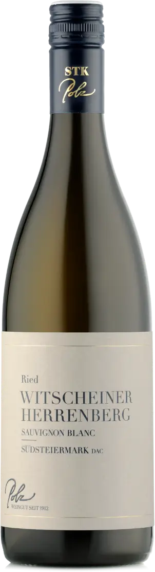 Weingut Polz Sauvignon Blanc dac 'Ried Witscheiner Herrenberg' 2019