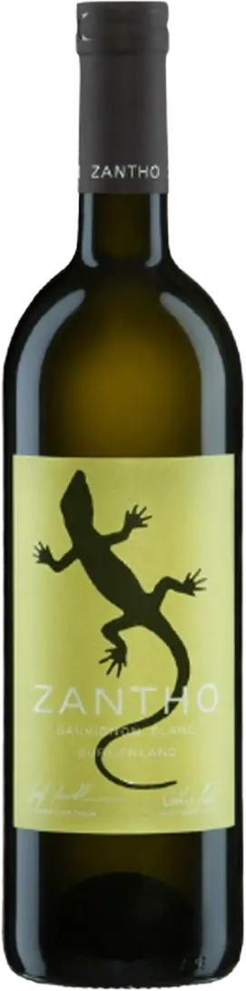Zantho Burgenland Sauvignon Blanc 2024